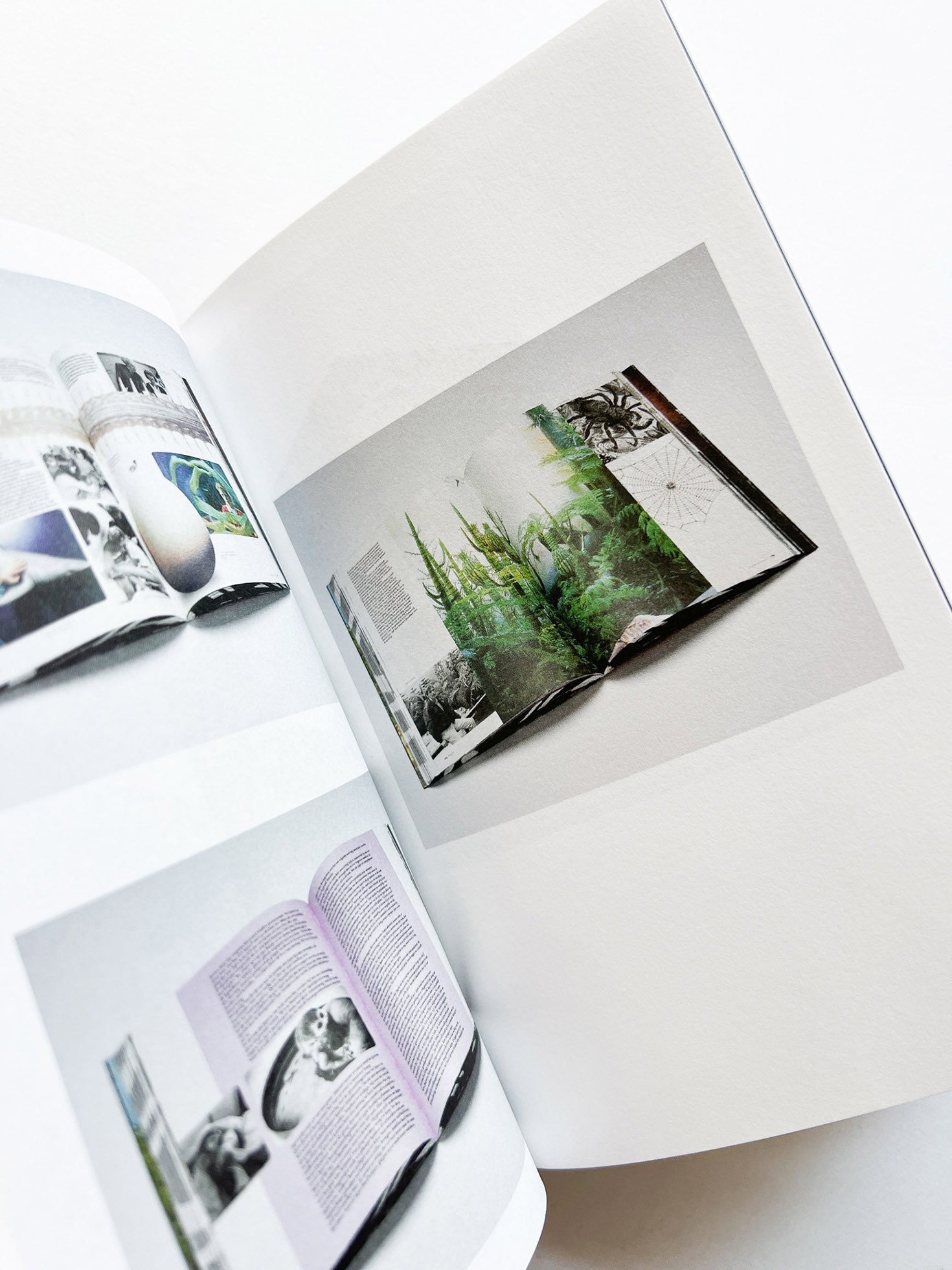 The Best Dutch Book Design 2013