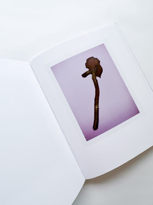 TOOS and TINY, My mother's mother, My father's father / Jaap Scheeren