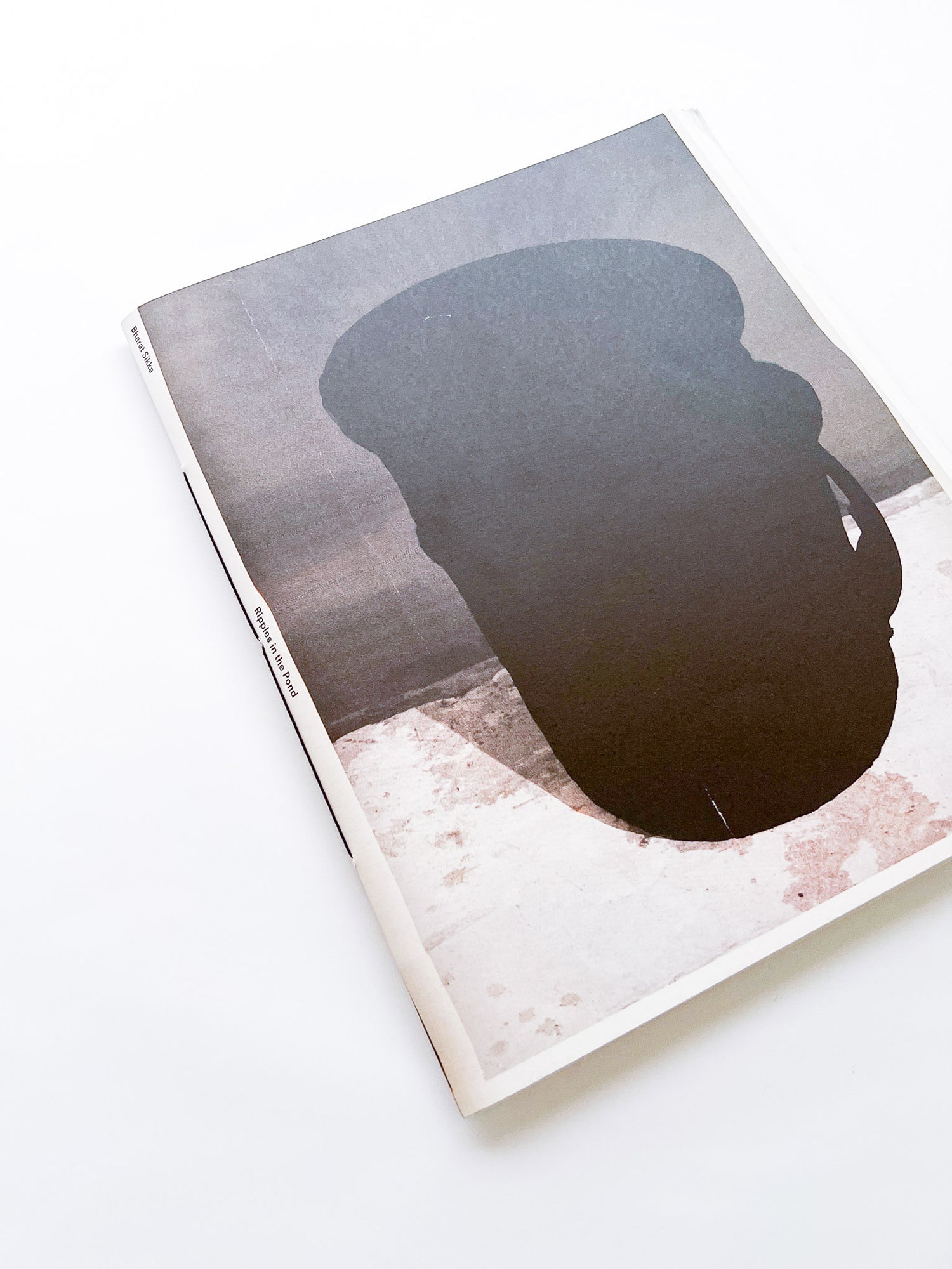 Ripples in the Pond / Bharat Sikka