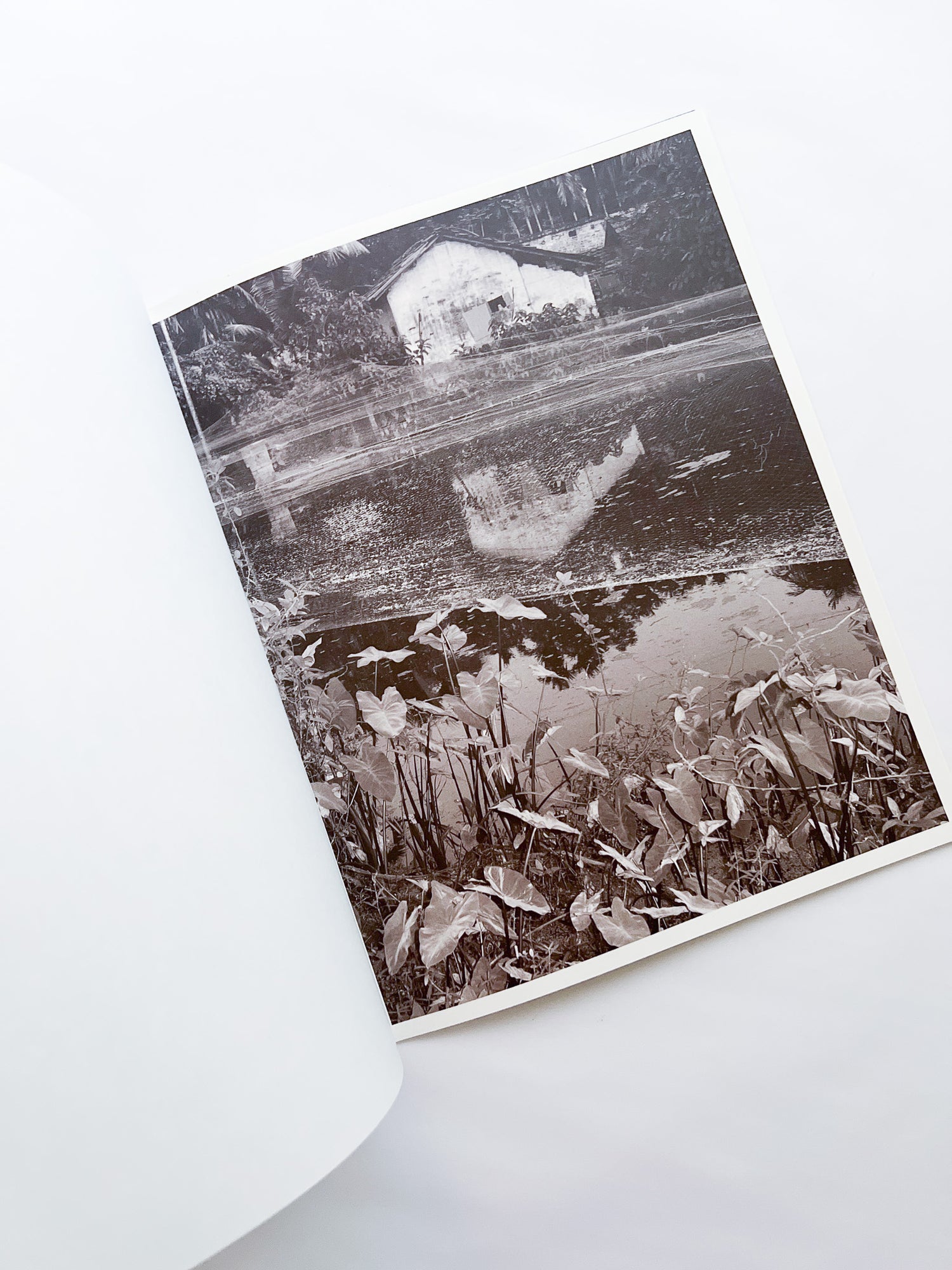 Ripples in the Pond / Bharat Sikka