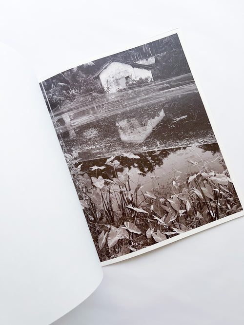 Ripples in the Pond / Bharat Sikka