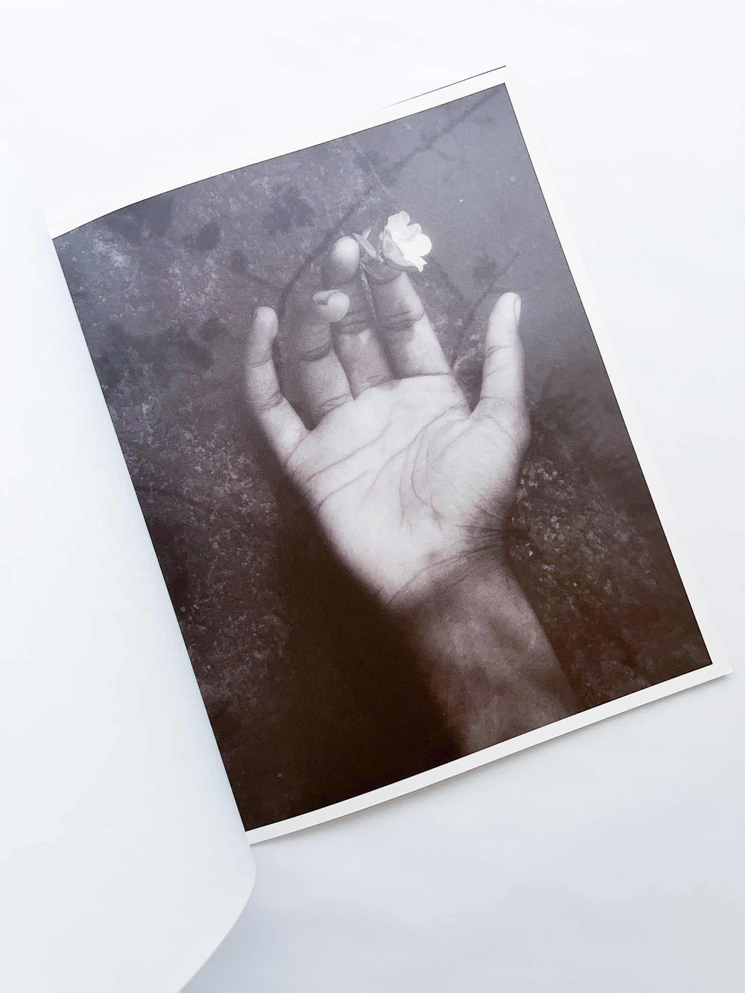 Ripples in the Pond / Bharat Sikka