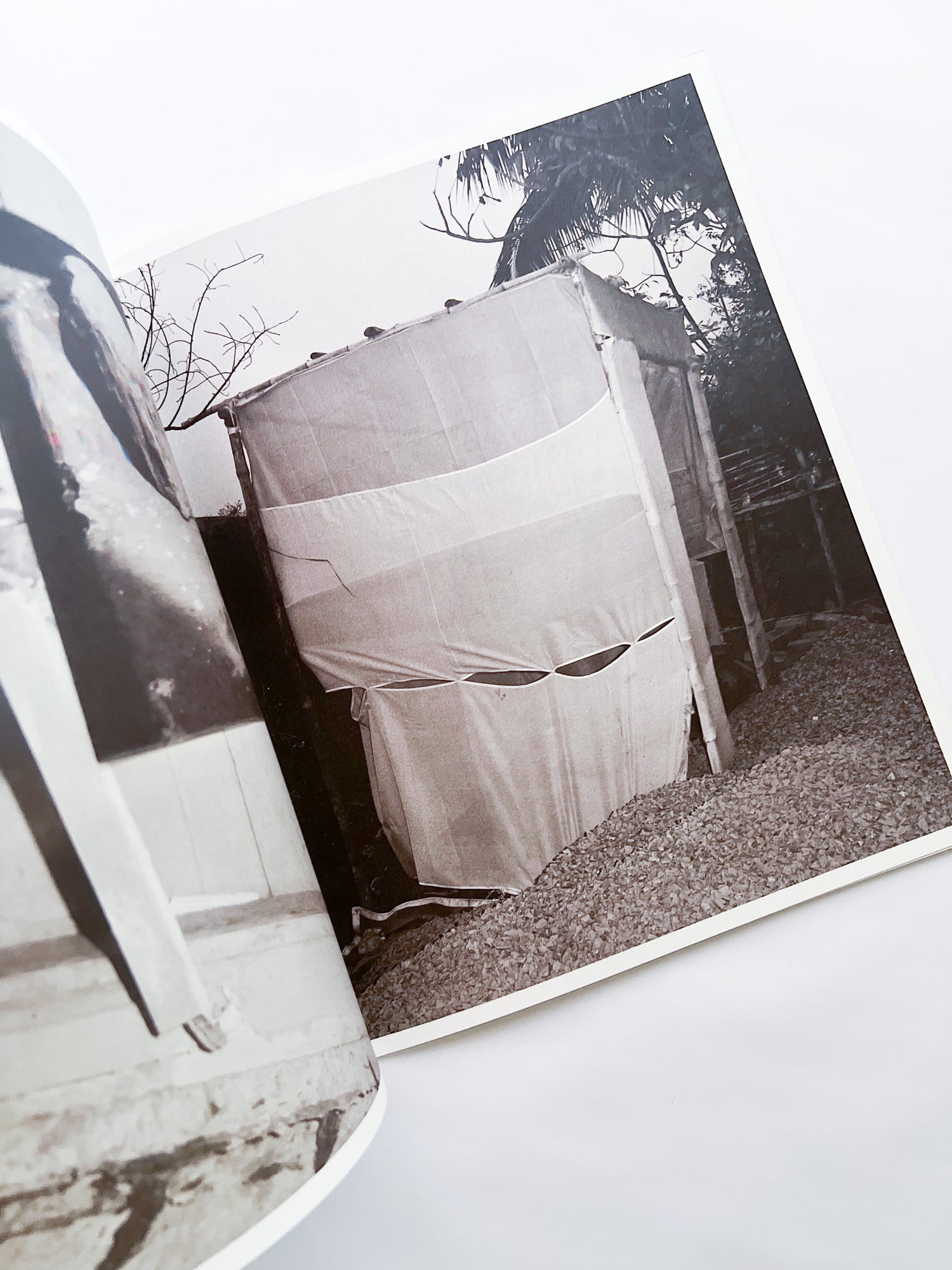 Ripples in the Pond / Bharat Sikka