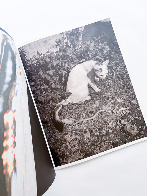 Ripples in the Pond / Bharat Sikka