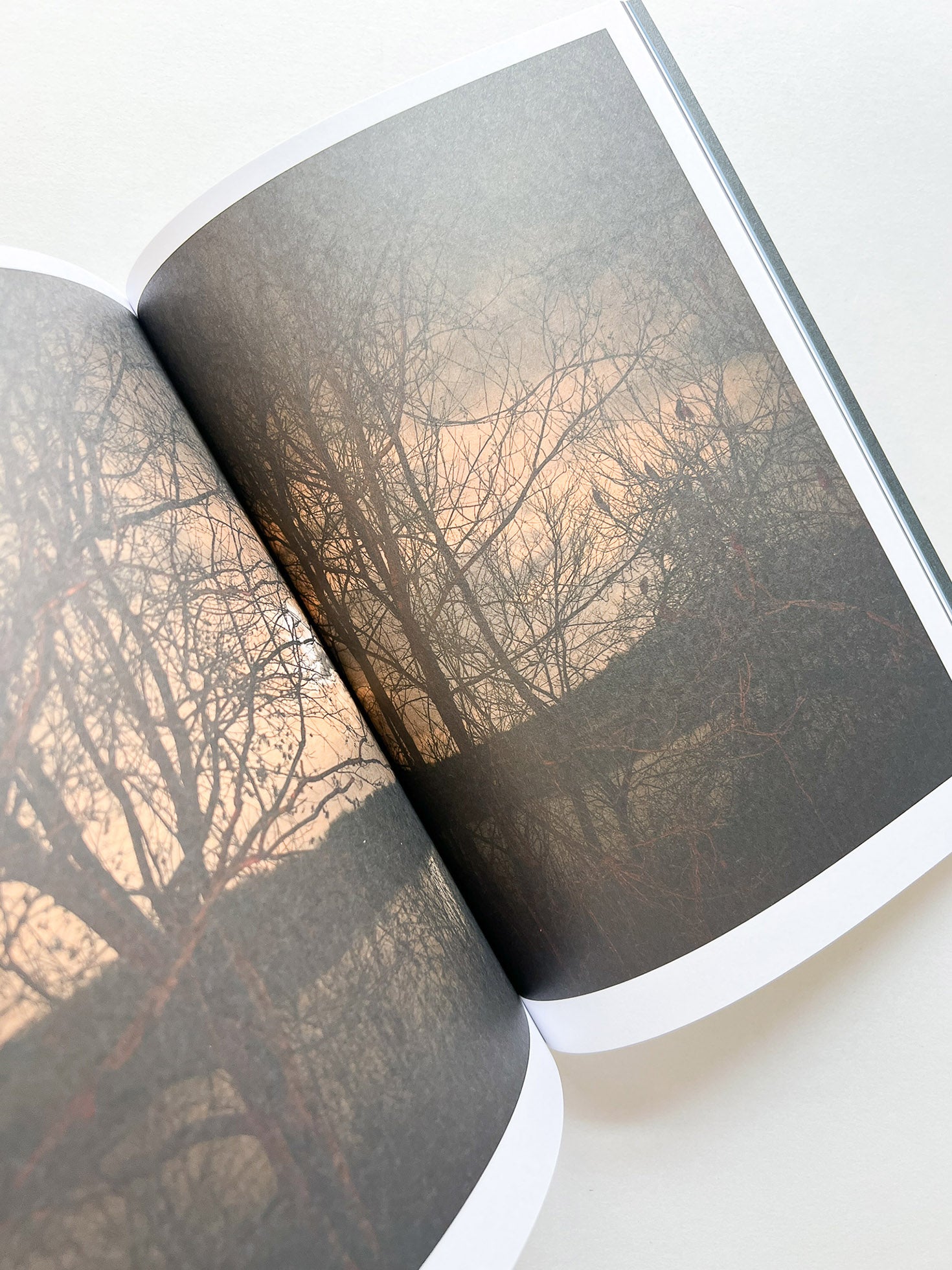 Hotshoe magazine Issue 210: Todd Hido