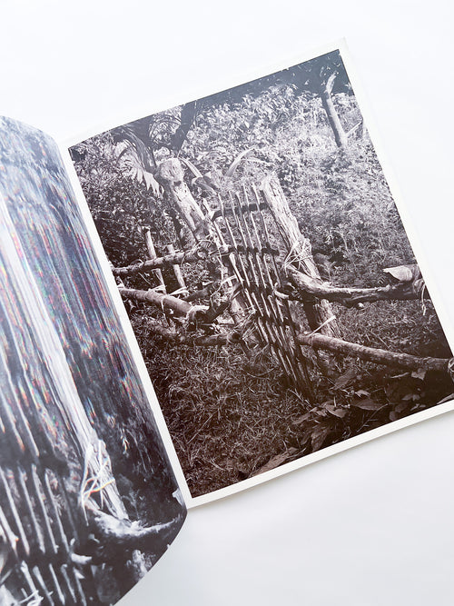 Ripples in the Pond / Bharat Sikka