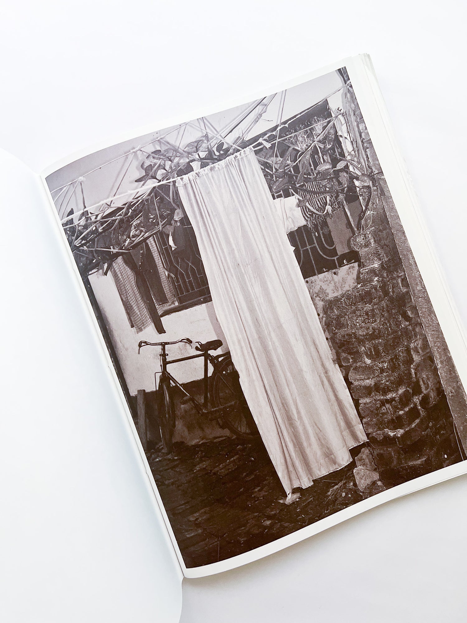 Ripples in the Pond / Bharat Sikka