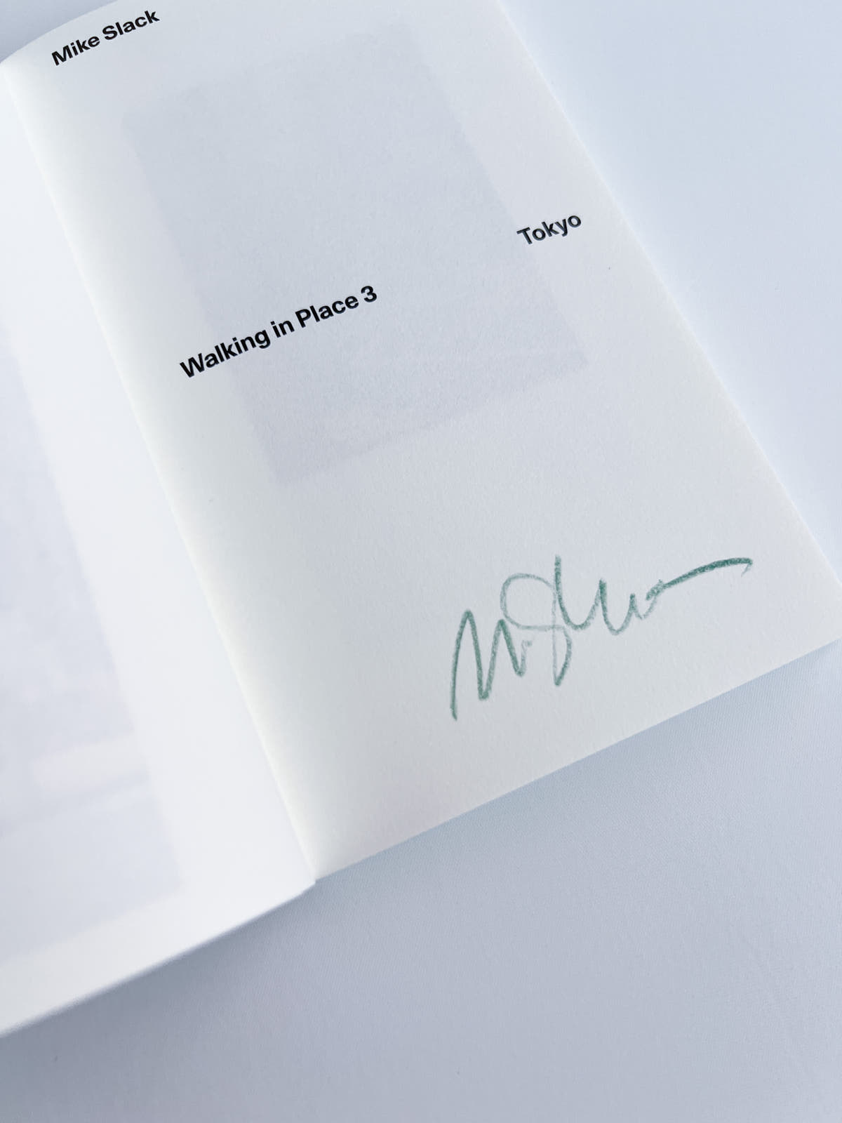 Walking in Place 3: Tokyo / Mike Slack