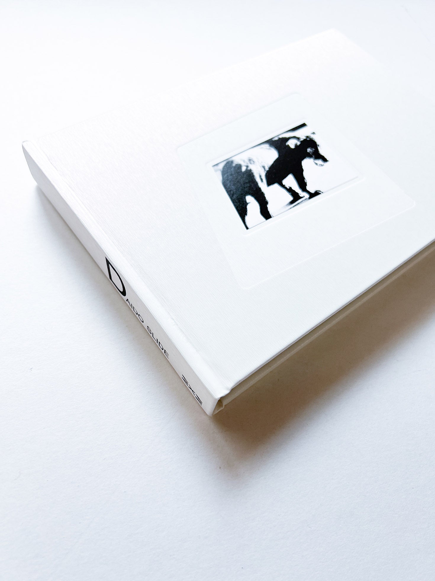 DAIDO SLIDE / Daido Moriyama