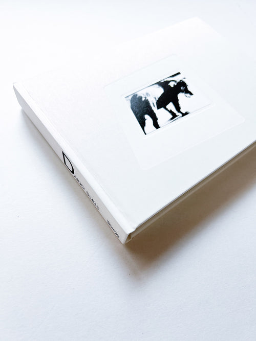 DAIDO SLIDE / Daido Moriyama