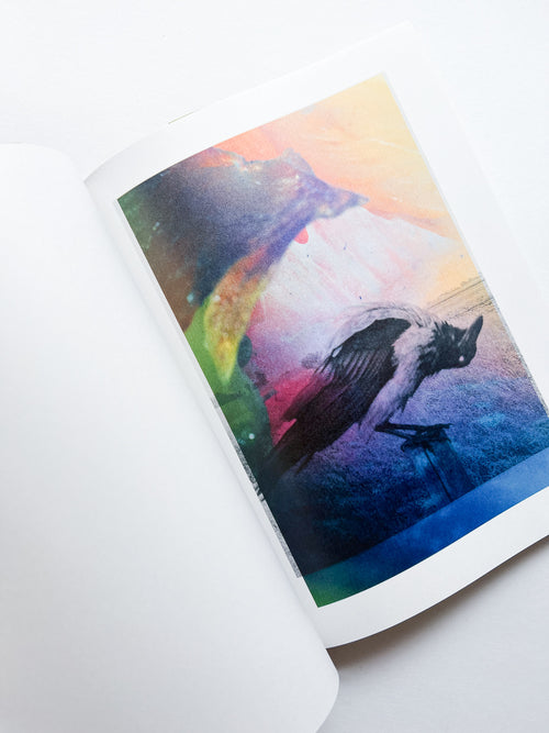 Magnificent Failure / Stephen Gill