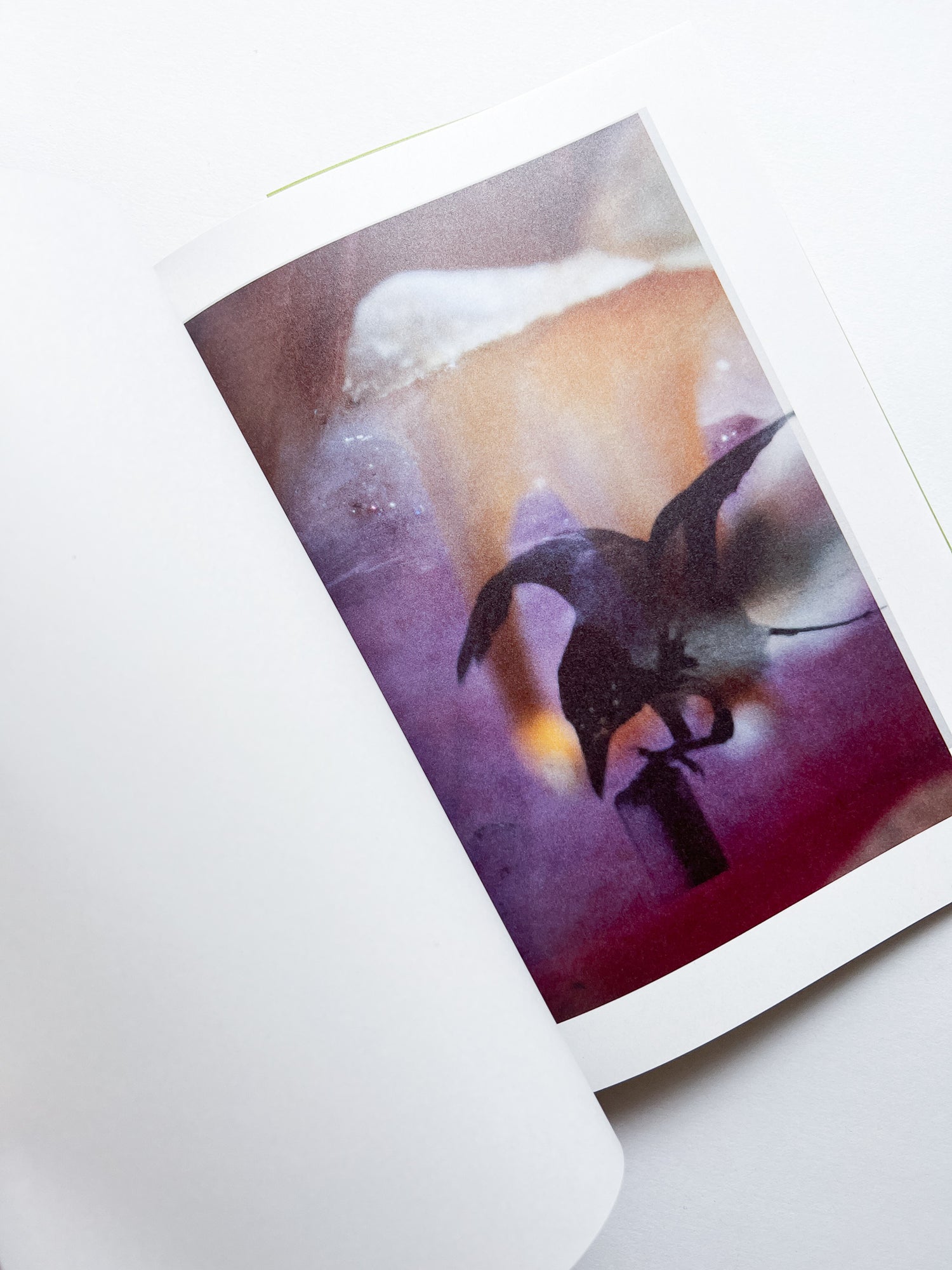 Magnificent Failure / Stephen Gill