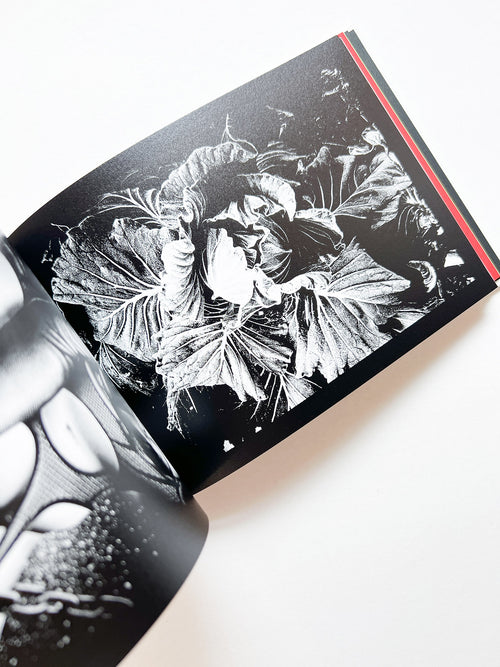 DAIDO SLIDE / Daido Moriyama