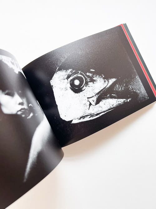 DAIDO SLIDE / Daido Moriyama