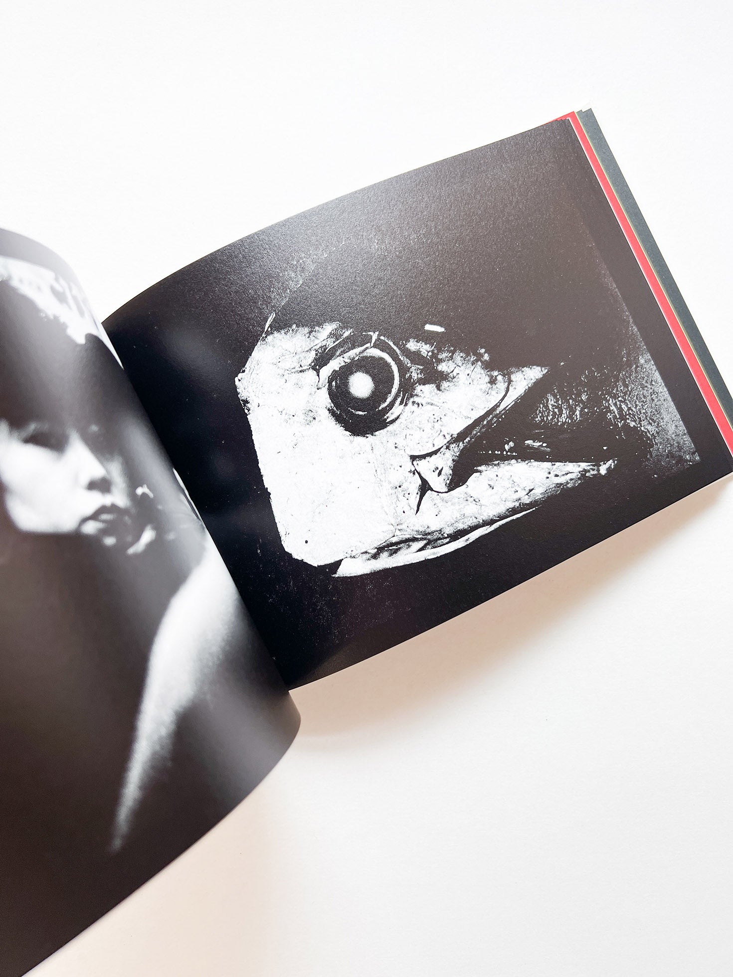 DAIDO SLIDE / Daido Moriyama