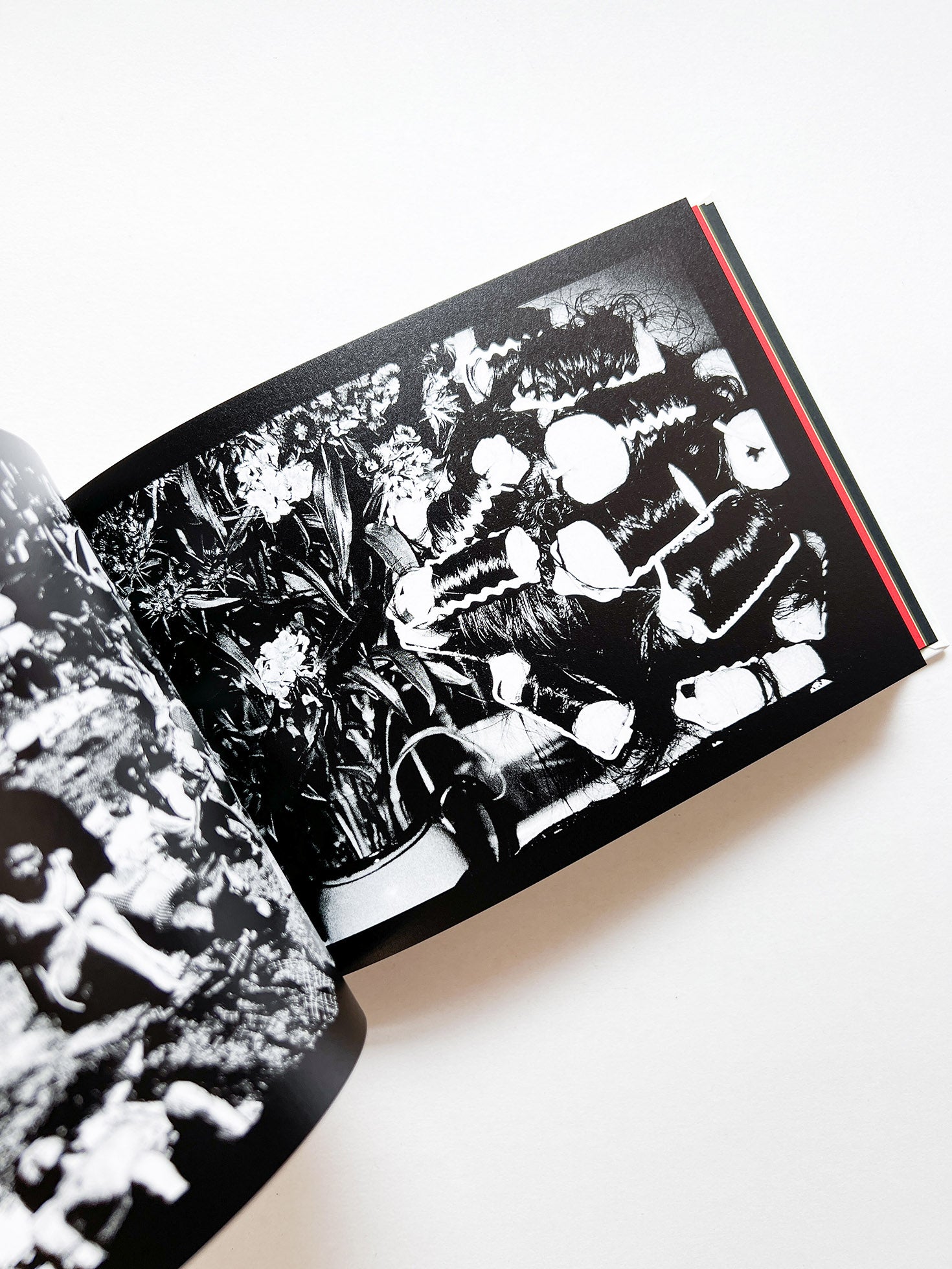 DAIDO SLIDE / Daido Moriyama