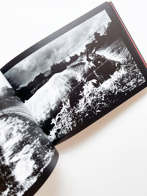 DAIDO SLIDE / Daido Moriyama