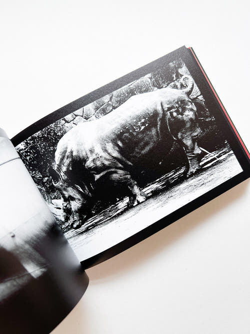 DAIDO SLIDE / Daido Moriyama