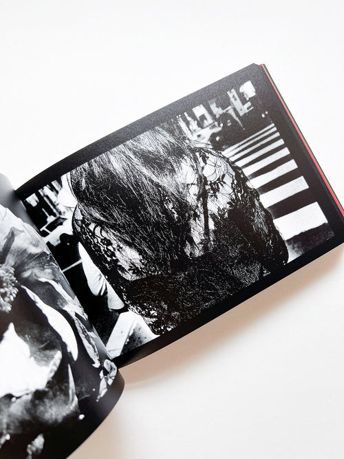 DAIDO SLIDE / Daido Moriyama