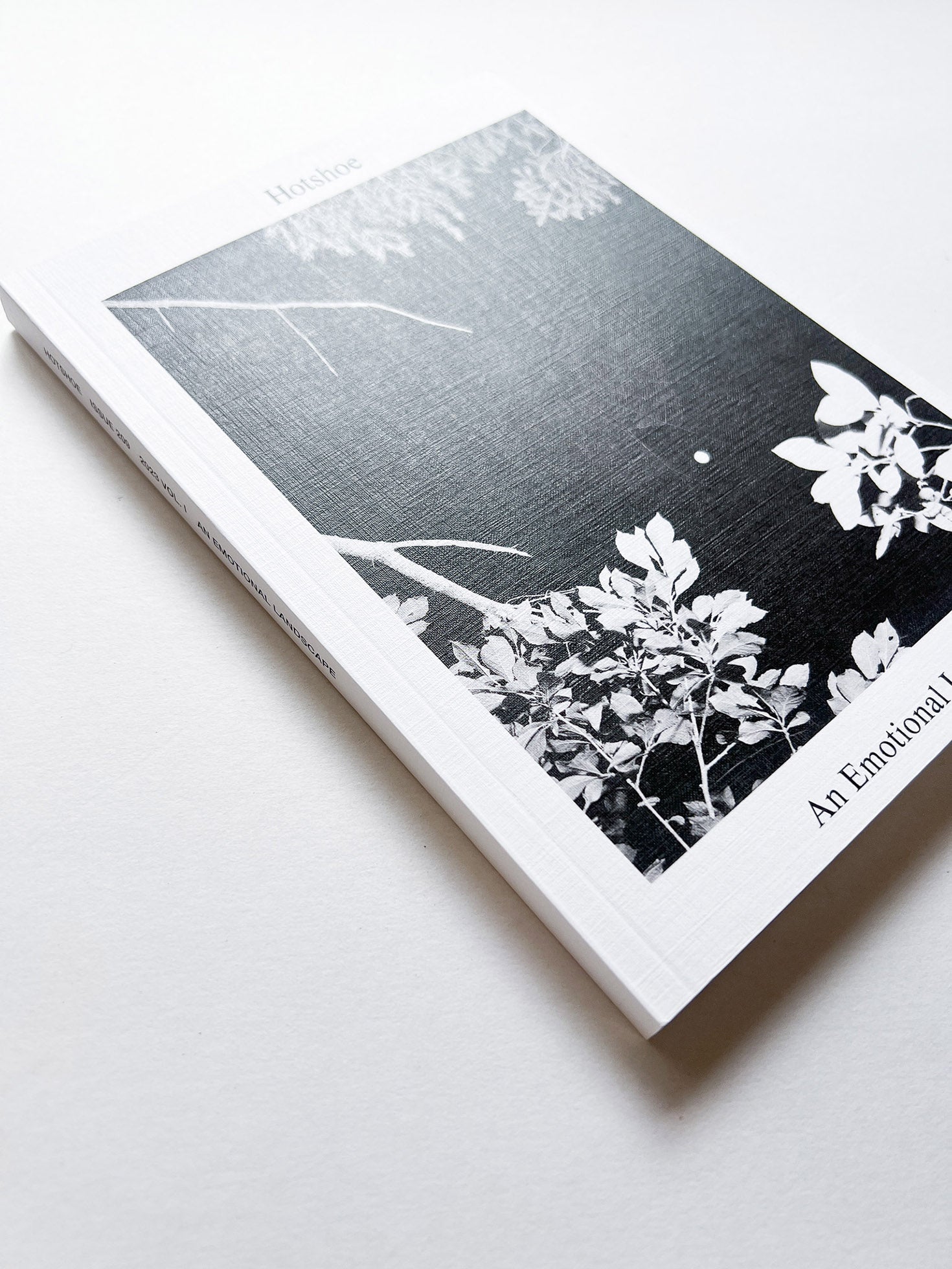 Hotshoe magazine Issue 209: An Emotional Landscape