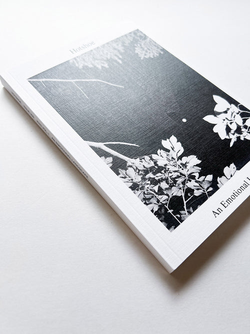 Hotshoe magazine Issue 209: An Emotional Landscape