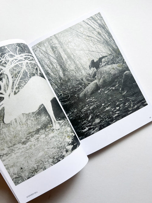 Hotshoe magazine Issue 209: An Emotional Landscape