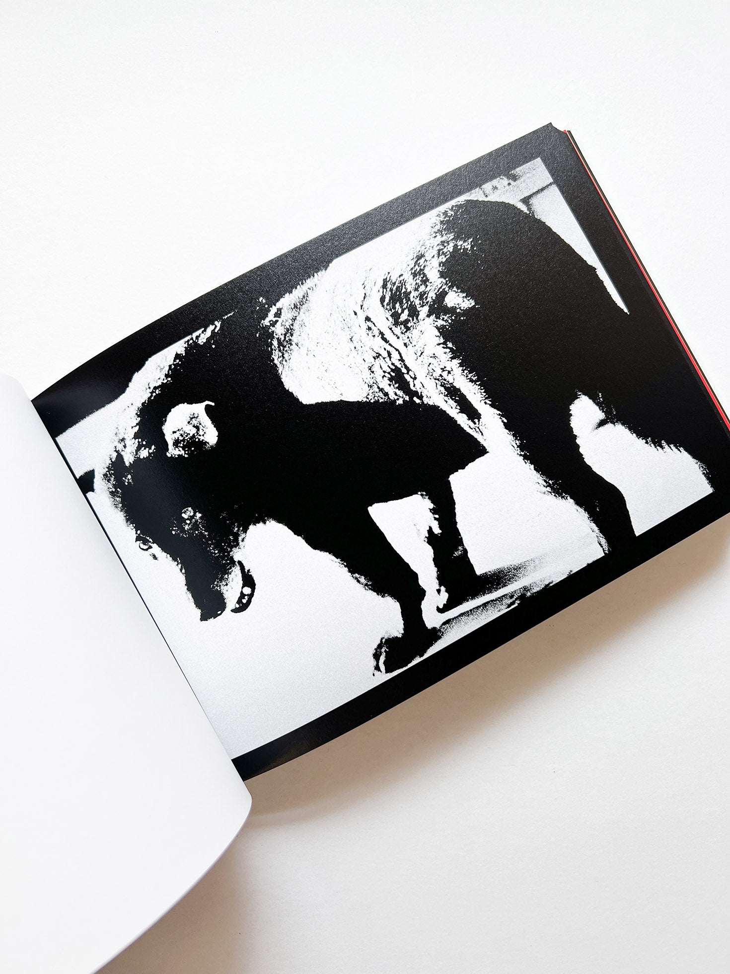 DAIDO SLIDE / Daido Moriyama