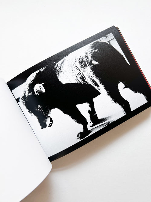 DAIDO SLIDE / Daido Moriyama