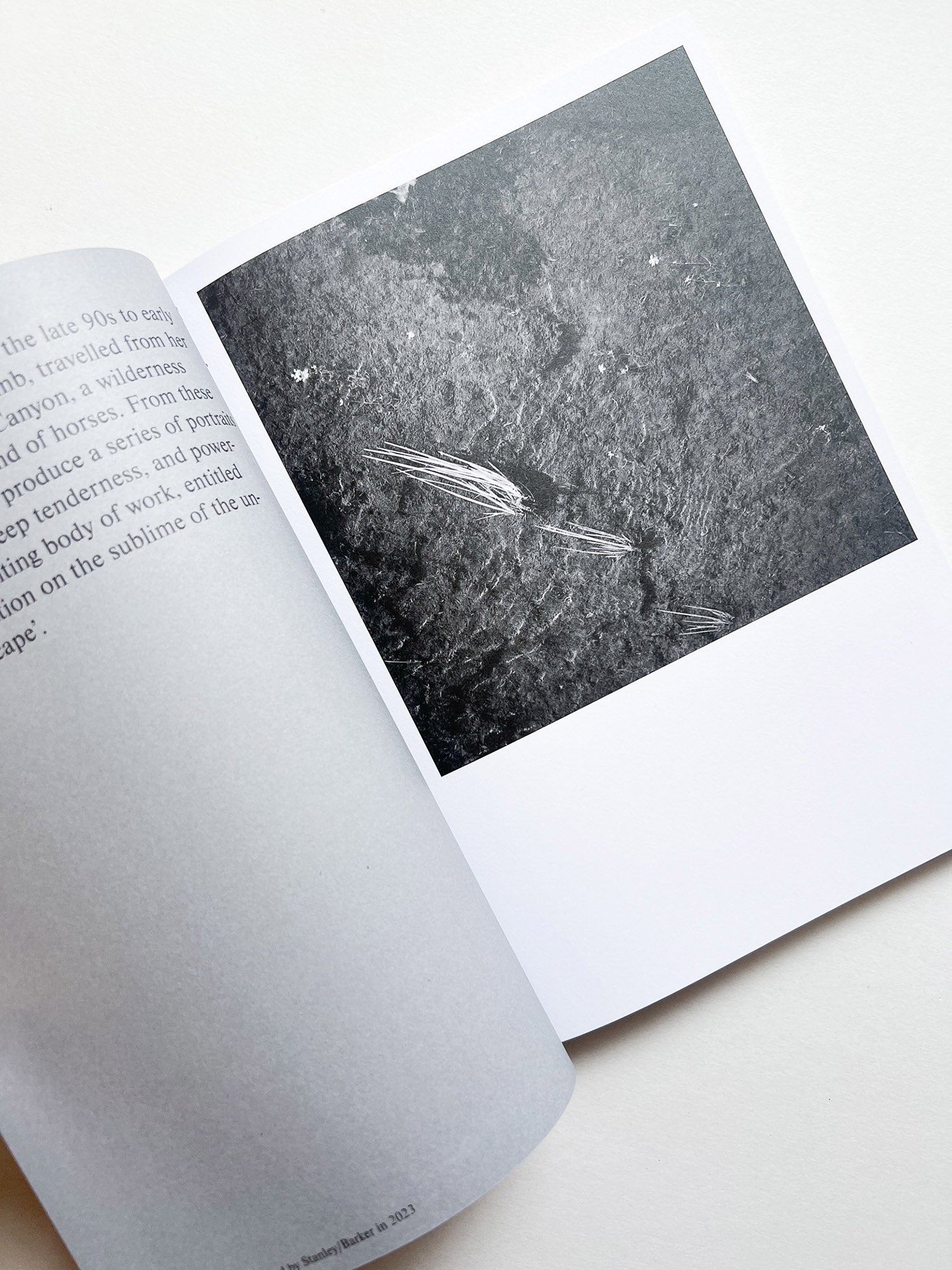 Hotshoe magazine Issue 209: An Emotional Landscape