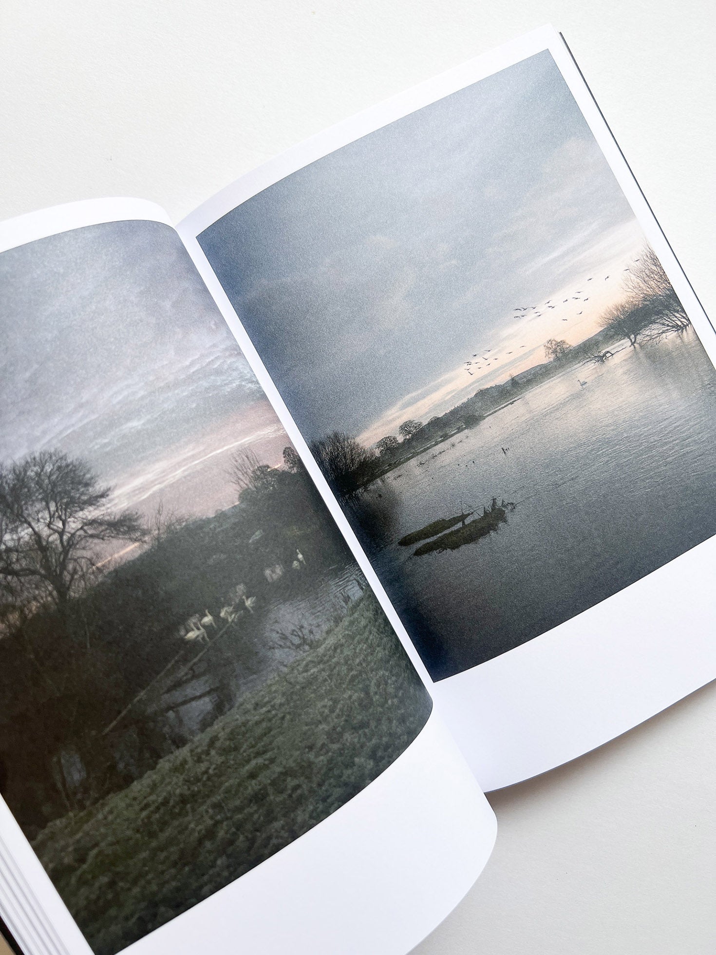 Hotshoe magazine Issue 209: An Emotional Landscape