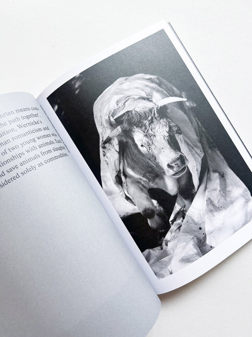 Hotshoe magazine Issue 209: An Emotional Landscape