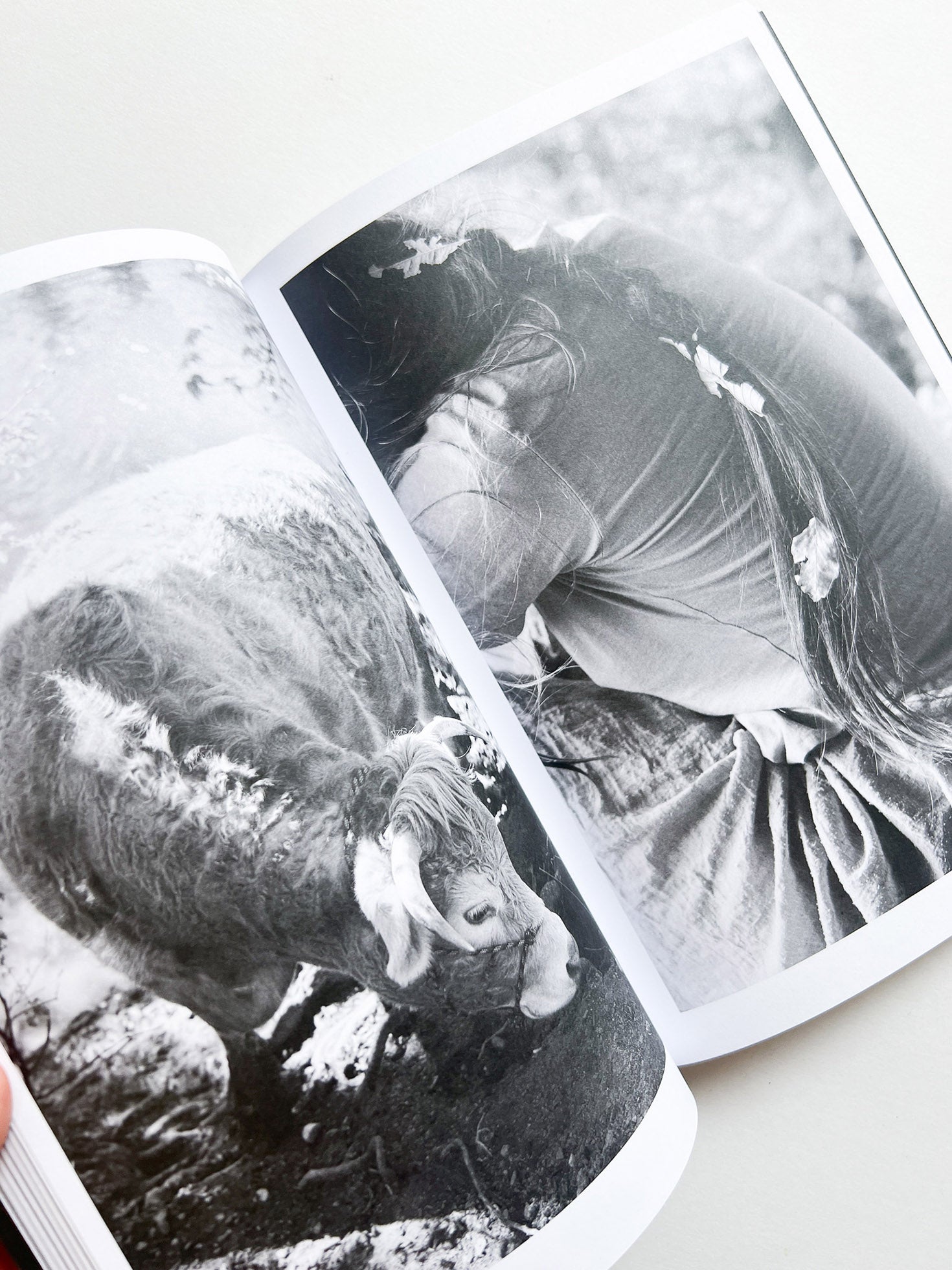 Hotshoe magazine Issue 209: An Emotional Landscape