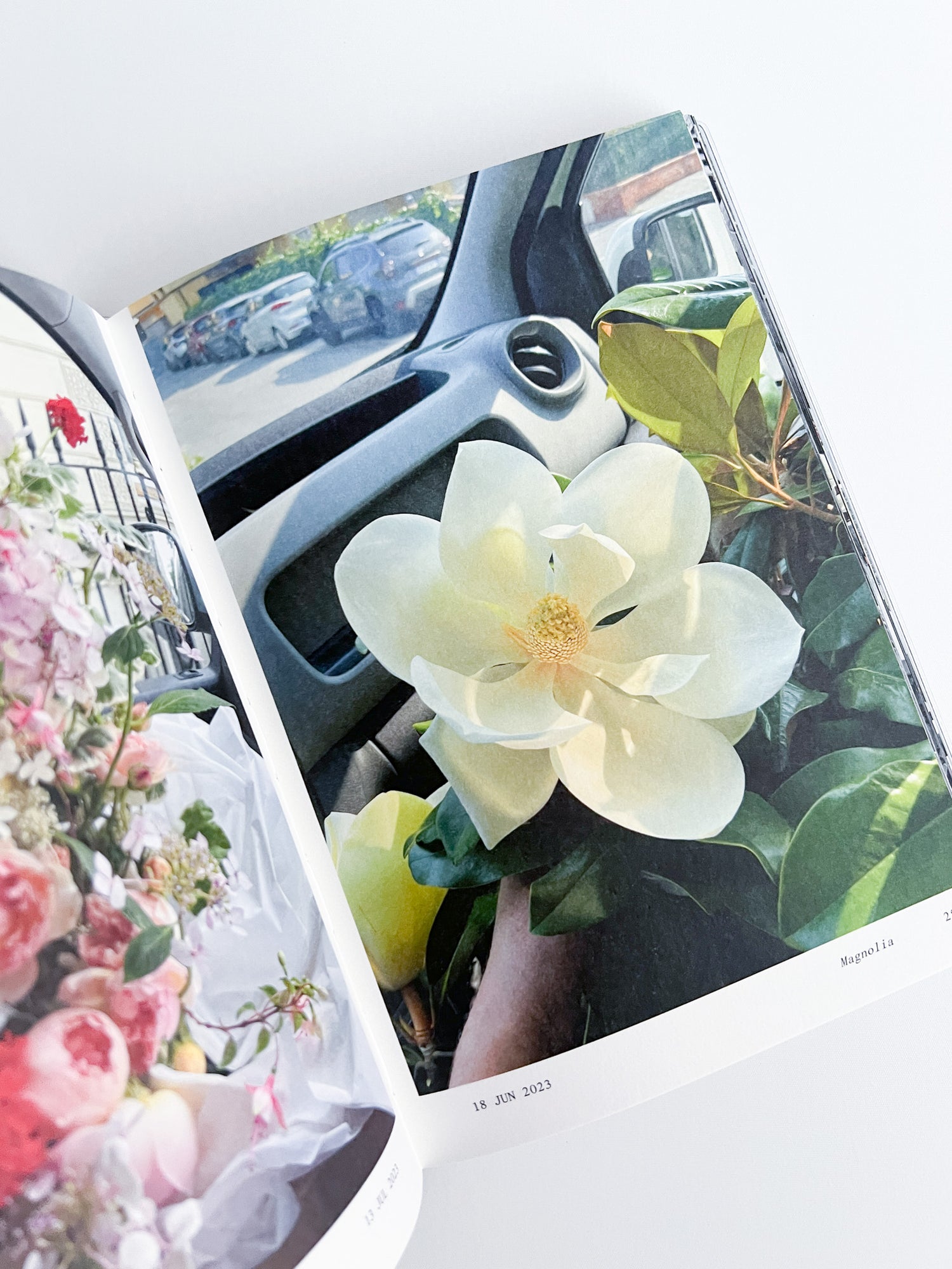 Flowers in the Front Seat / Simone Gooch