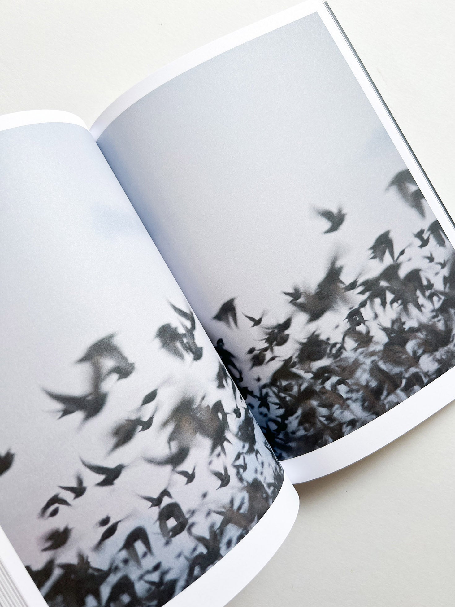 Hotshoe magazine Issue 209: An Emotional Landscape