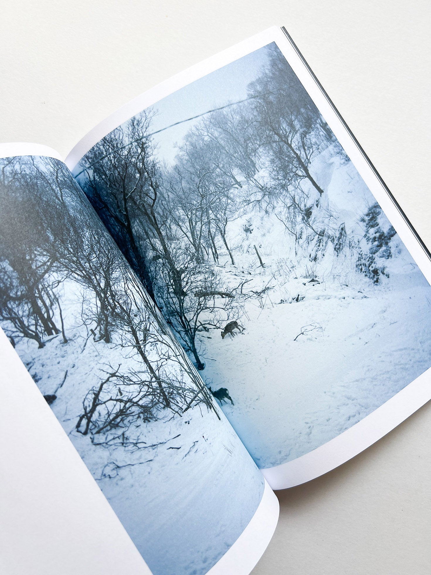 Hotshoe magazine Issue 209: An Emotional Landscape