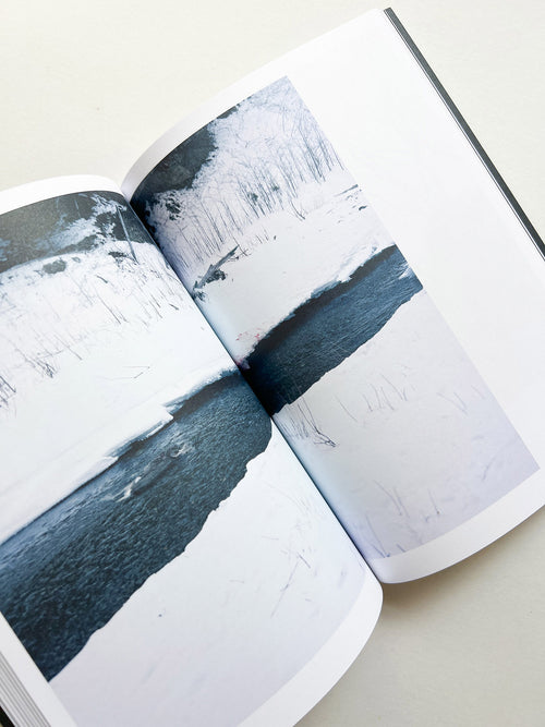 Hotshoe magazine Issue 209: An Emotional Landscape