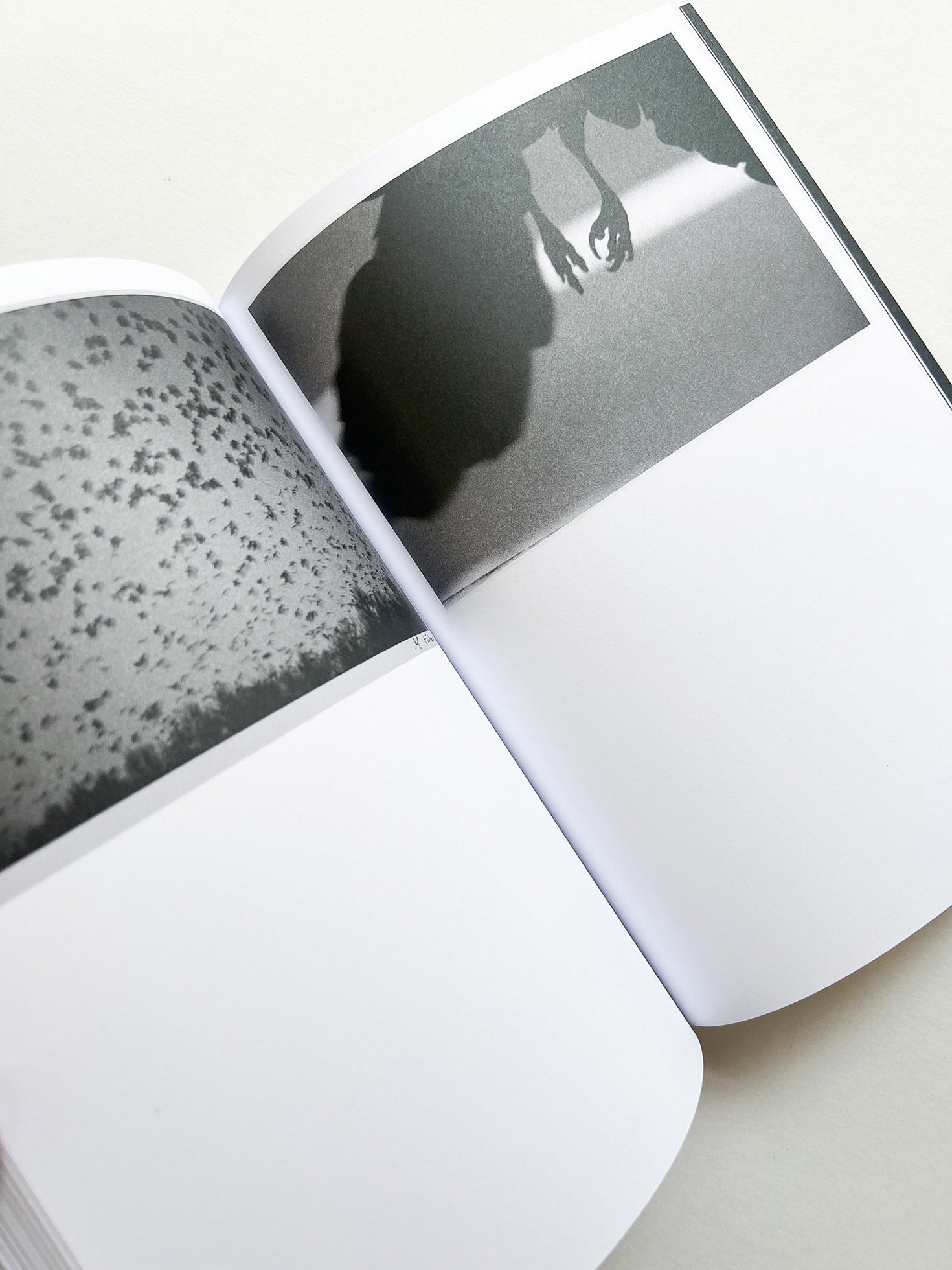 Hotshoe magazine Issue 209: An Emotional Landscape