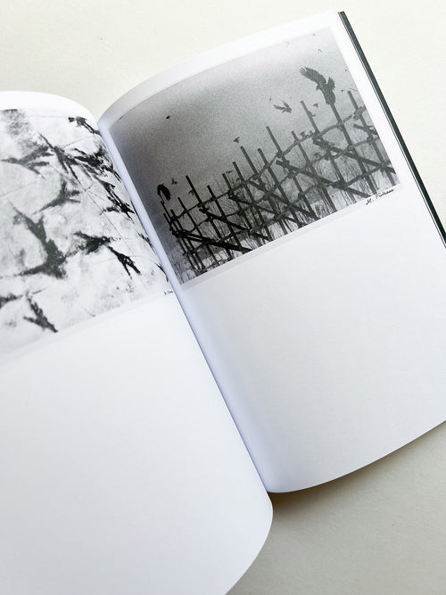 Hotshoe magazine Issue 209: An Emotional Landscape