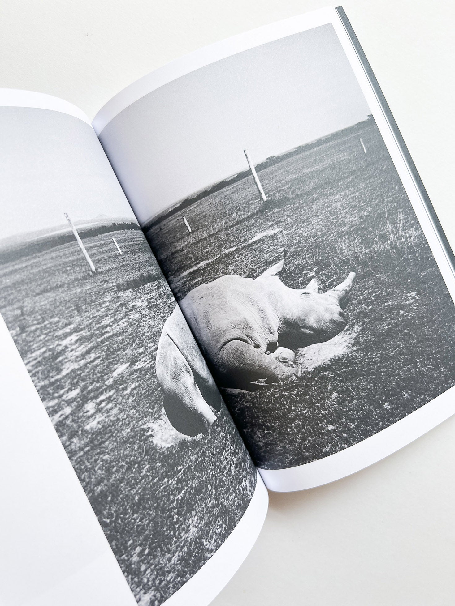 Hotshoe magazine Issue 209: An Emotional Landscape