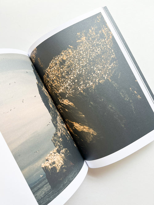 Hotshoe magazine Issue 209: An Emotional Landscape