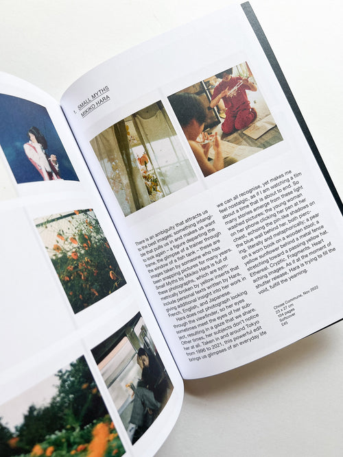 Hotshoe magazine Issue 209: An Emotional Landscape