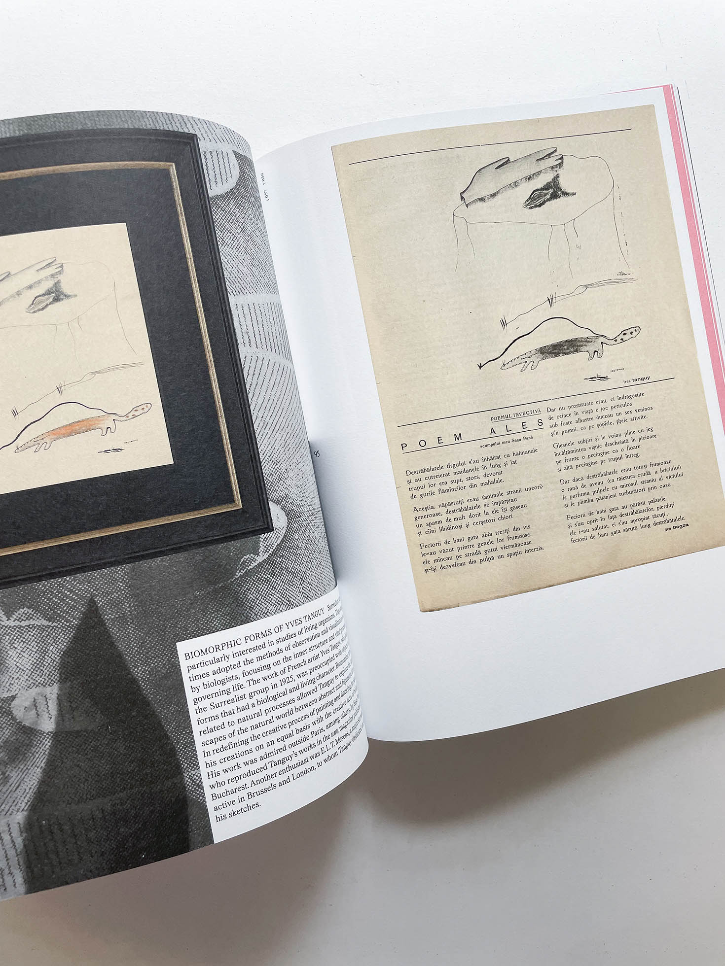 ARCHIVE OF DREAMS. A SURREALIST IMPULSES