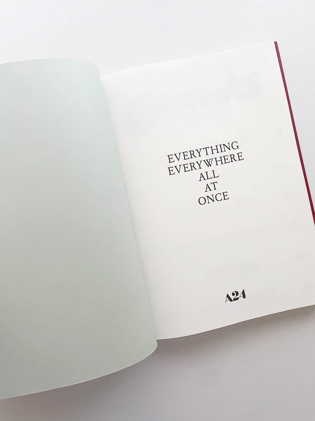 EVERYTHING EVERYWHERE ALL AT ONCE / Daniel Kwan & Daniel Scheinert