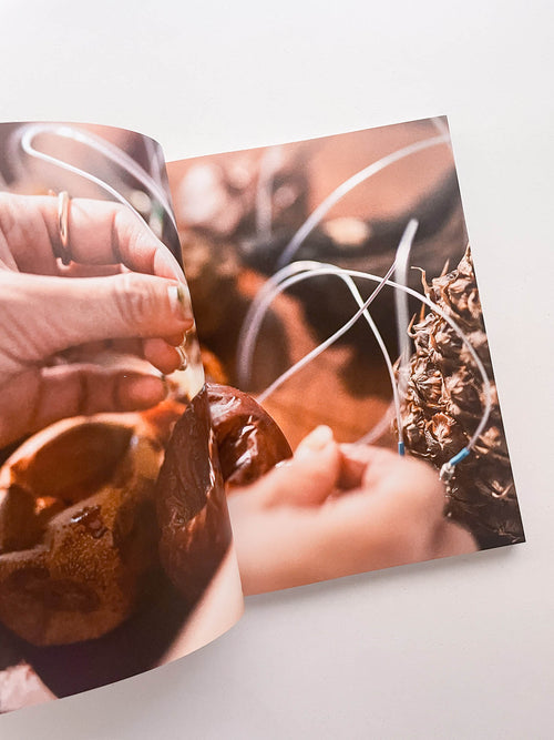 COMPOSE - THE JAPANESE PAVILION. 60TH INTERNATIONAL ART EXHIBITION, LA BIENNALE DI VENEZIA / Yuko Mohri