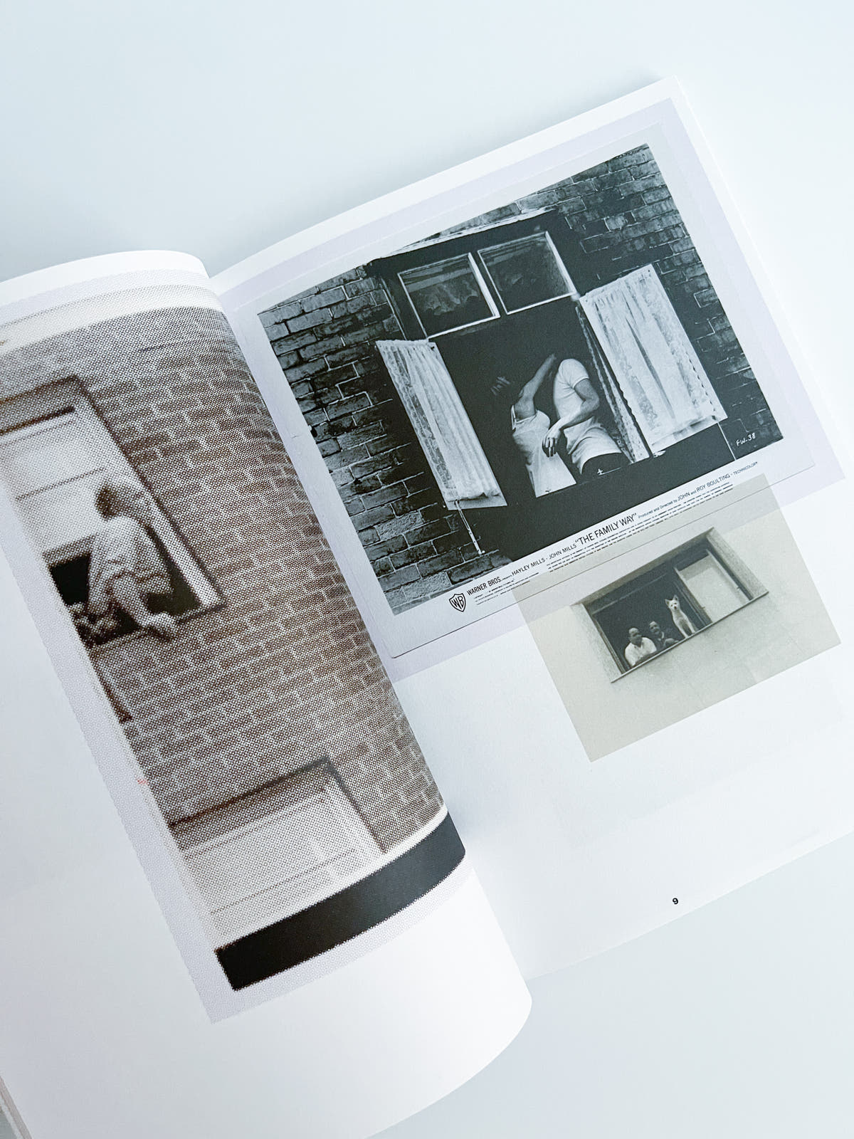 Windows / Patrick Pound