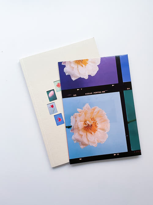 The Chromatics of Flowers / Paula Codoner