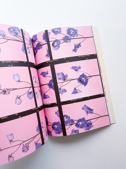 The Chromatics of Flowers / Paula Codoner