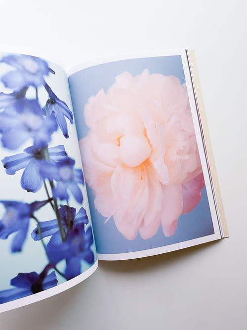 The Chromatics of Flowers / Paula Codoner