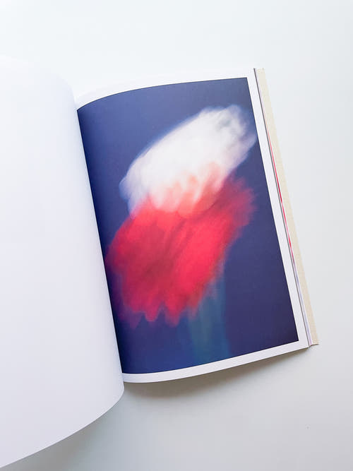 The Chromatics of Flowers / Paula Codoner