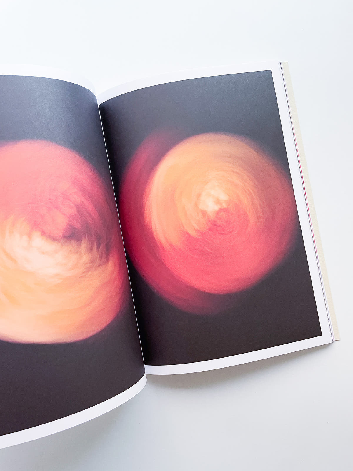 The Chromatics of Flowers / Paula Codoner